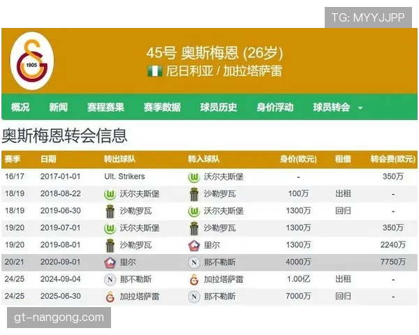 奥斯梅恩意甲冠军核心身份含金量分析