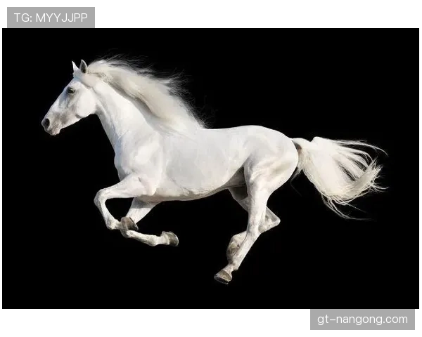 富里睡醒发现自家马场又多了一匹纯血马，这月第几回了？